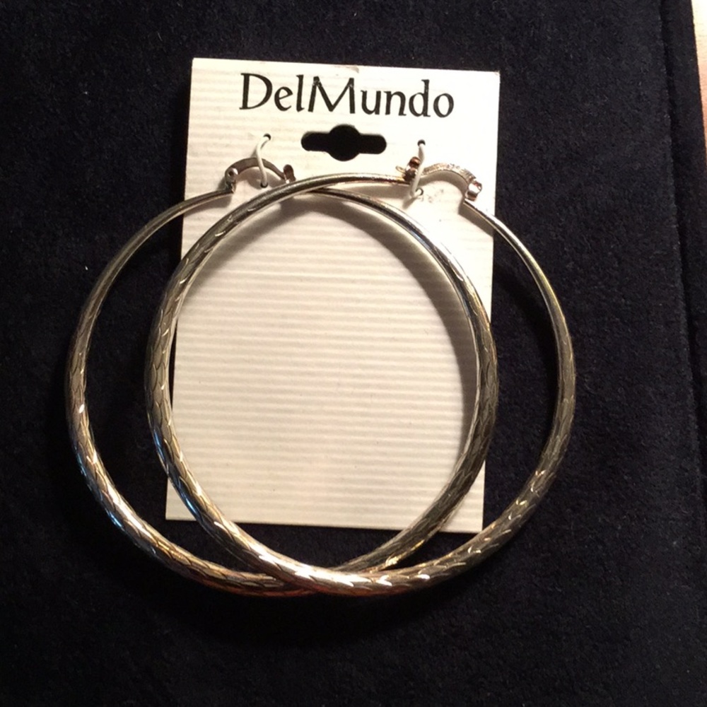 Silver hoop earrings